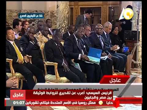 شاهد السيسي يبحث الأوضاع في ليبيا وافريقيا الوسطى مع الرئيس الغابوني