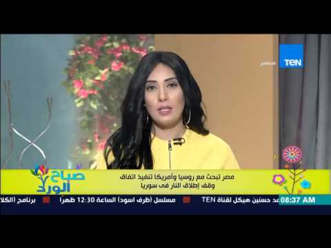 شاهد مصر تبحث مع روسيا وأميركا تنفيذ وقف  النار فى سورية