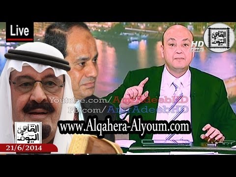 أديب يؤكّد أنّ العاهل السعودي لم يزر أوباما وزار السيسي