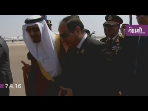 شاهد الملك سلمان في أول زيارة رسمية إلى مصر